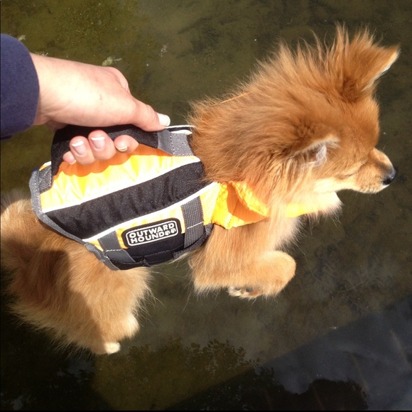 Outward Hound Dog Small Dog Life Jacket Poshmark